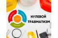 с 25 по 29.11.2024 г. В учреждении проходит "Неделя нулевого травматизма".